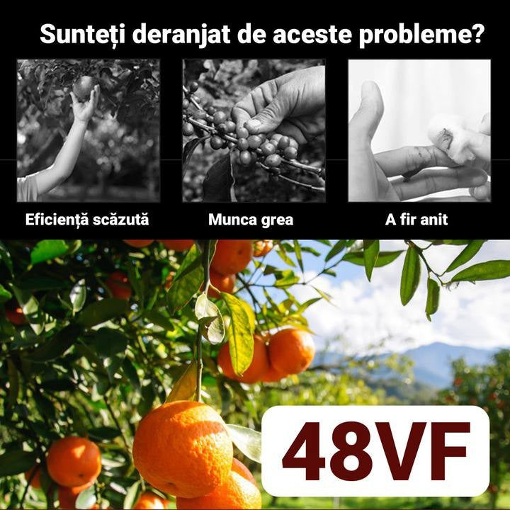 37bc725351e9700a0744c3cd8512c38d