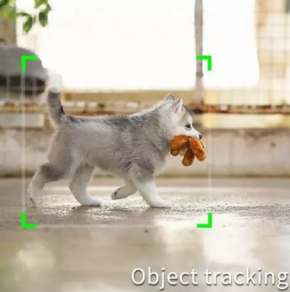 FUN CHASE – Suport Inteligent cu Urmărire Automată 360°